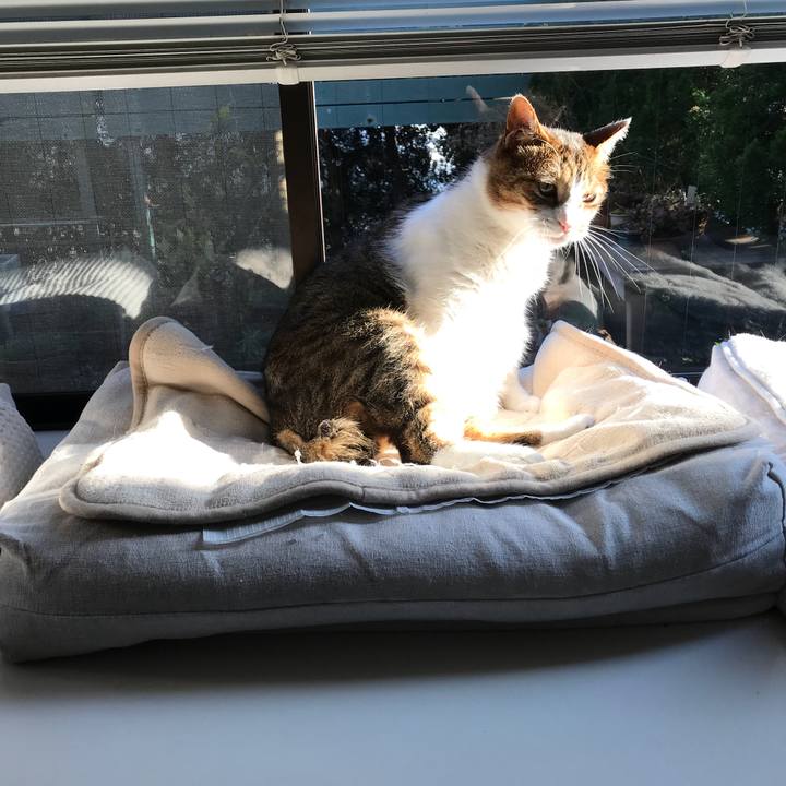 652267d7 b0f8 4f79 86ba 2622322c39a2 1520844184166