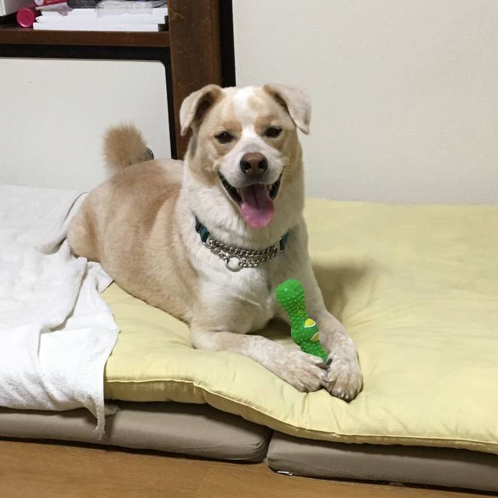 652278fc 815f 4a8a ba80 881dfdb60c03 1536745900448