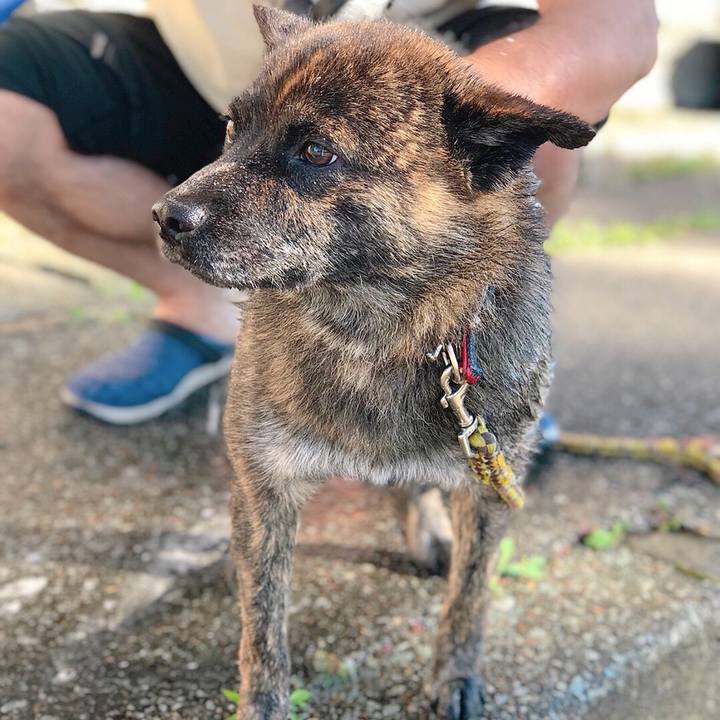 65227ac6 348b 4399 b801 9ee7260e396a 1531045179654