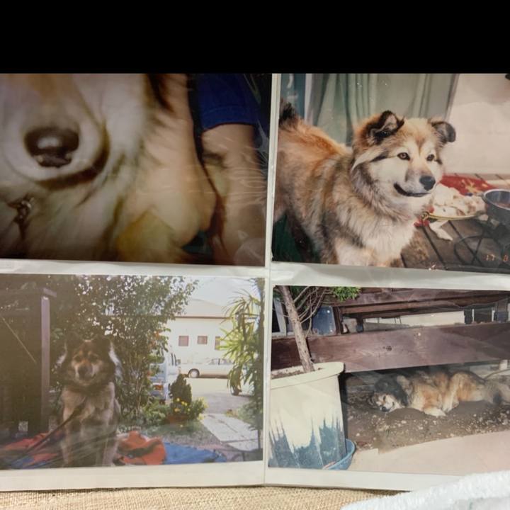 652294f2 c76f 4085 9292 a6a89cd7d3e7 1610716485121