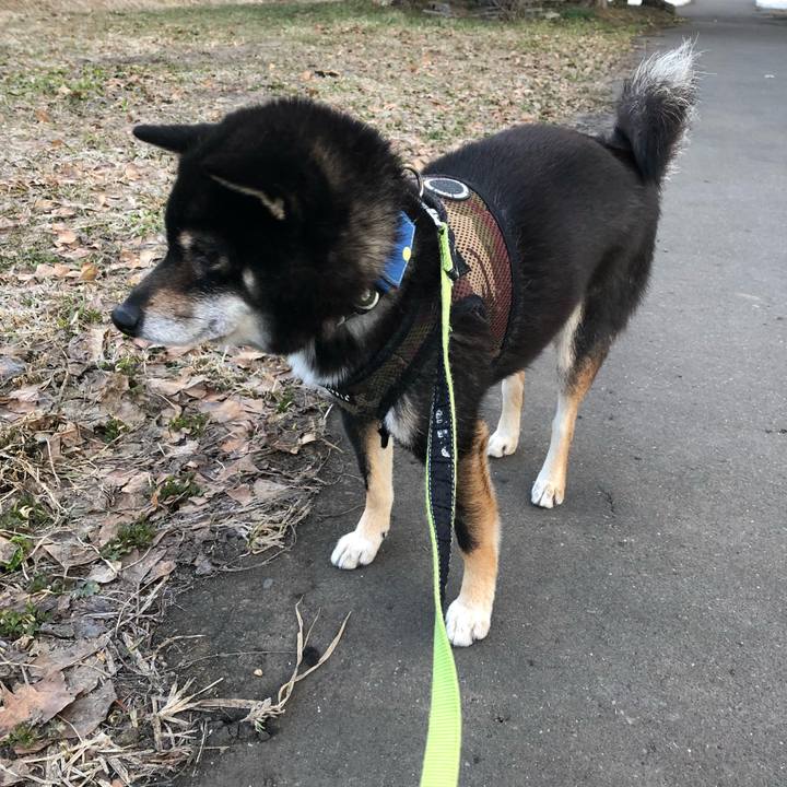 652295e0 682b 4861 b219 5198c74391d9 1523274055321