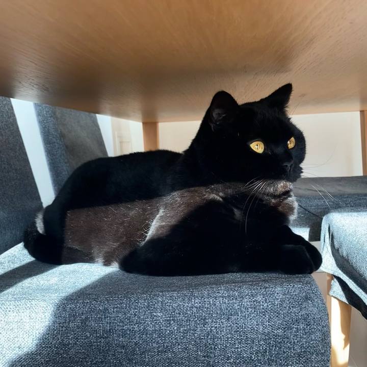 6522975a 1f33 4ac2 9220 39589273f010 1773387564297