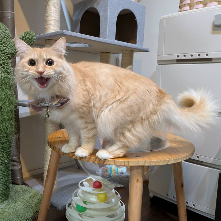 6522b010 134e 47d9 91ad 5f9bef1c2745 1736164353092