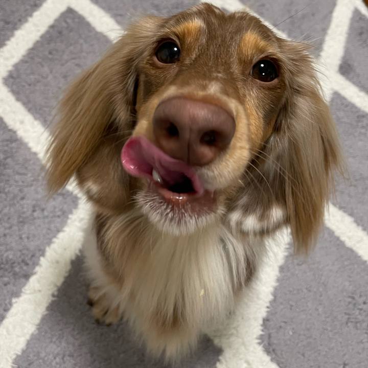 6522b447 f658 41f2 968d a69a636a3389 1763423229863