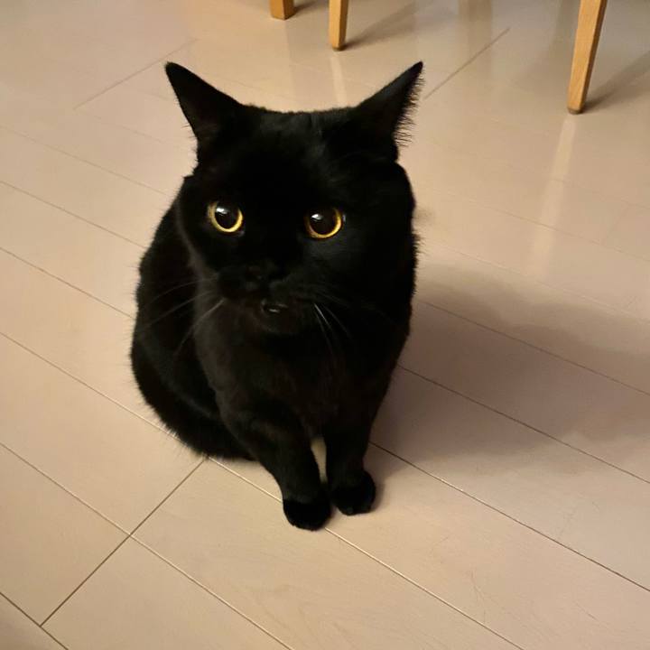 6523135e 2208 484a 89d8 224c07fe9f15 1696859072908