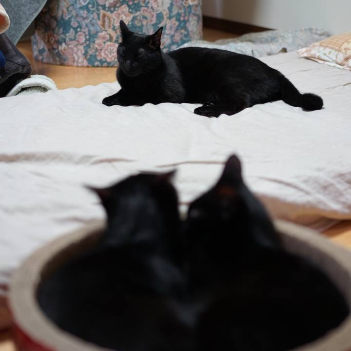 652316c5 2400 45b3 aa0c 14466ea67bda 1556148558161