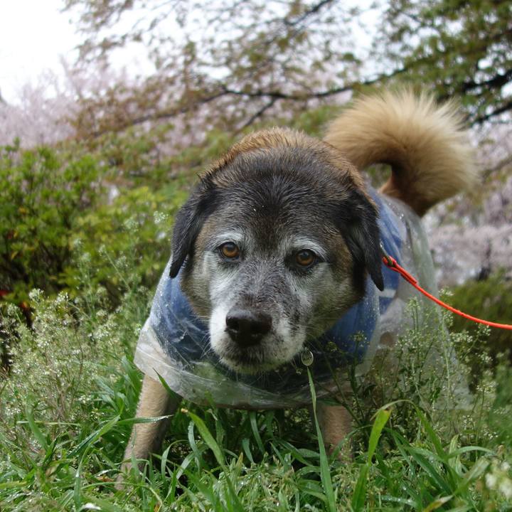 6523183b bfa7 4fb1 ade2 e427288290fe 1554856701897