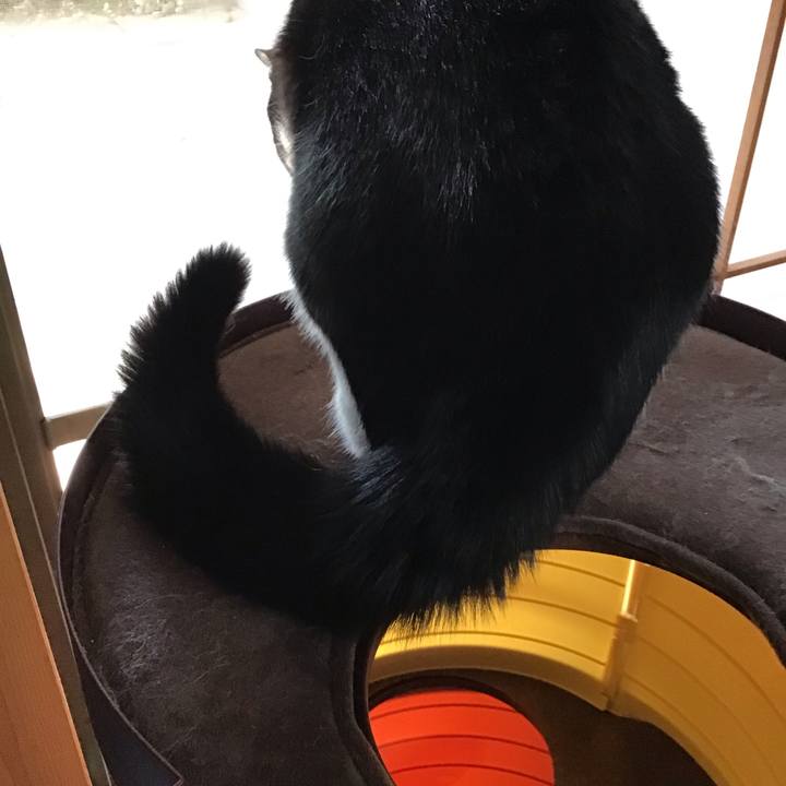 652342e4 336f 4109 963f 9cf3b3c6f129 1655453934610