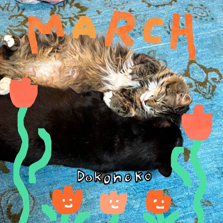 65236423 d448 4de7 81d9 aa83faf4cb22 1741242673253