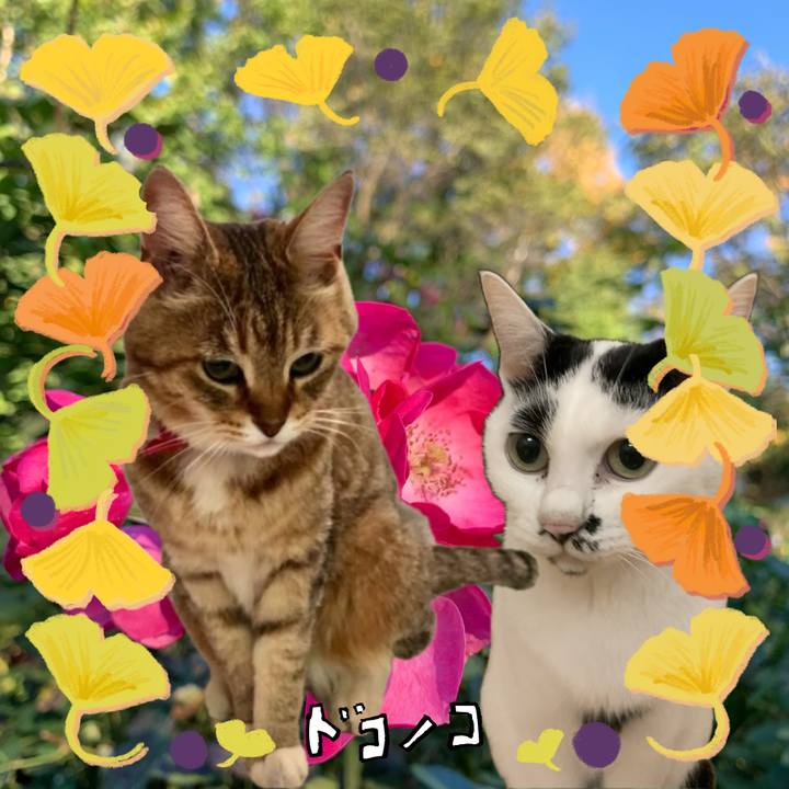 6523cc7f e130 4267 82c1 cb733df69751 1729779170399