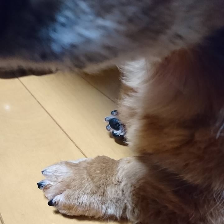 6523dac5 0b13 408e 8986 4ae6eddcf34d 1619712649410