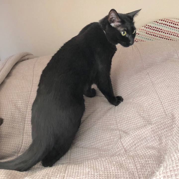 6523dadd 2298 4e8c bb78 8f857d186668 1523146064264