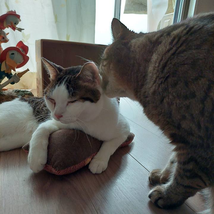 6523de1a a4f7 4f9d 8d62 2a072d44a3c7 1689245531132