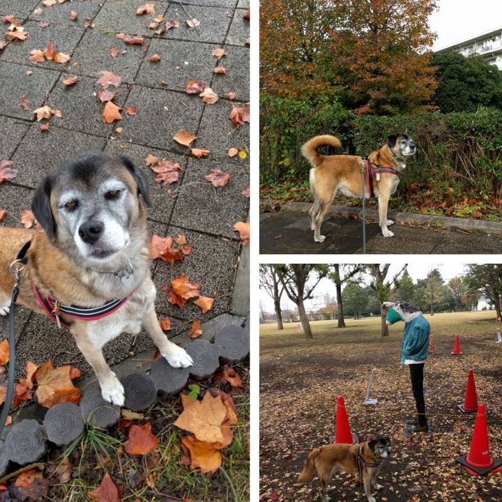 6523e0af cdea 4fd3 a05c e8b897a489b2 1510706239936