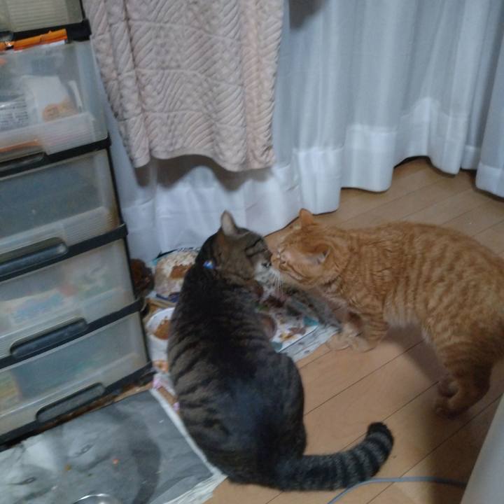 6523ec80 fc1d 4066 ab62 ba615affe817 1673913529123