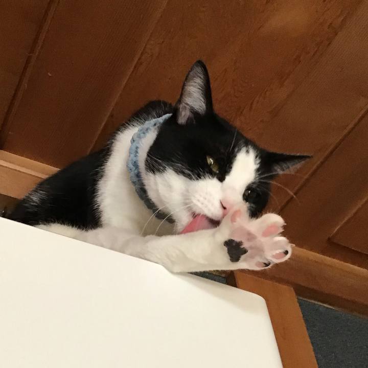 6523f1bf 60a5 4d97 9cb3 7d6e73e8234d 1662889018496