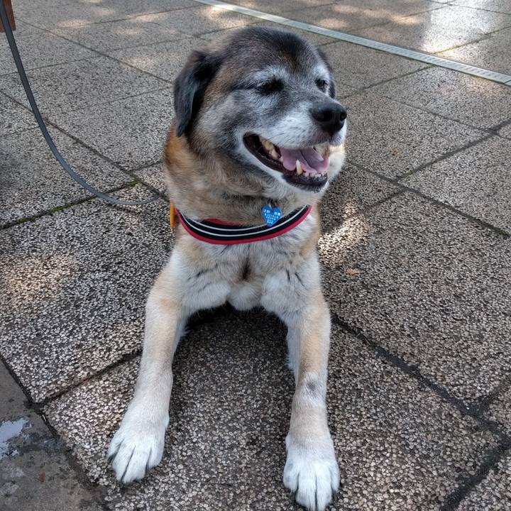 6524ae6c cd32 450d bd5e e727e7e2b3a6 1529885053856