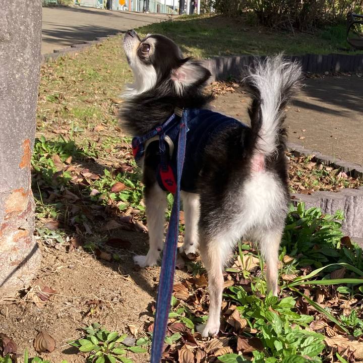 6524f73b fd8a 4dec bbc6 5c5811c87d53 1702222311254