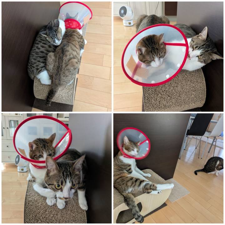 65250f95 7222 4601 89d3 d16dfafa567c 1753771600038