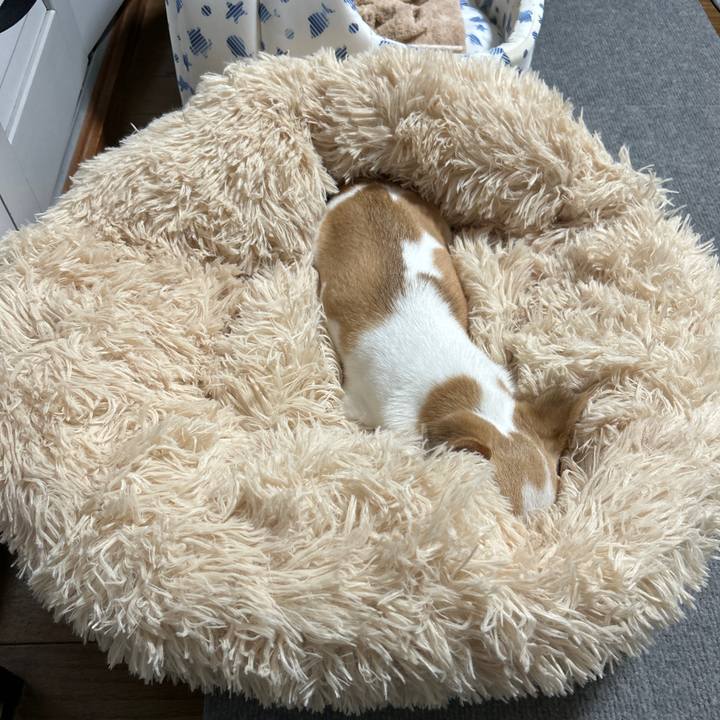 652528b0 f8c9 4661 8e87 ca99e0256207 1759227098505