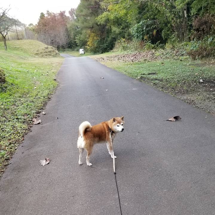 652596b3 298a 4672 9d13 0a3e90f971df 1667111329254