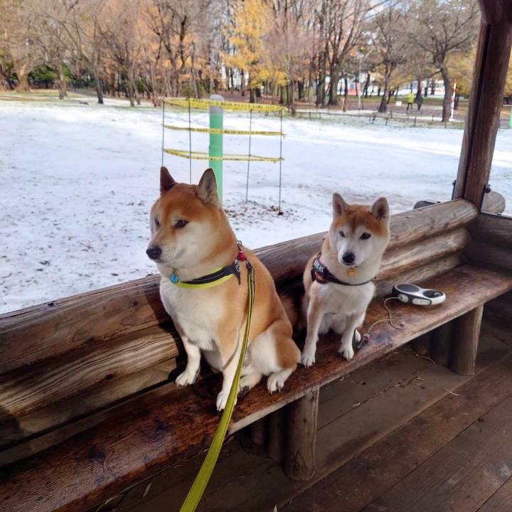 65259a56 43f5 4375 bbb6 1d955bc103d9 1638068668143