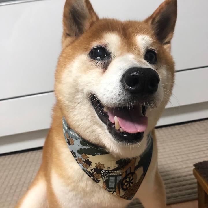 6525ac0e 8f2b 4f97 bf32 e592cd61e8b4 1567118478961