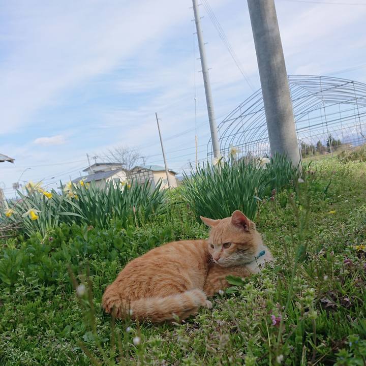 6525ad19 dbe1 4720 936d 841be9990555 1556432136046