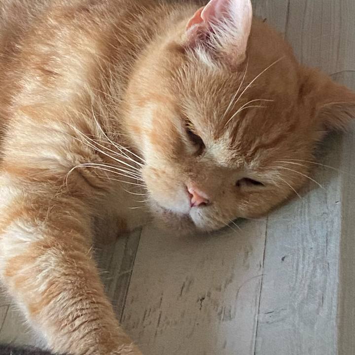 6525c02f 1987 4f18 bc71 1fc4ae92434e 1627894227401