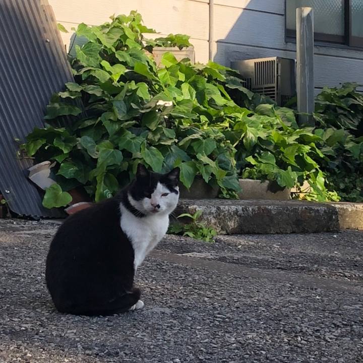 6525c5a1 ebe6 487d be83 f7a32abcfb98 1558180853714