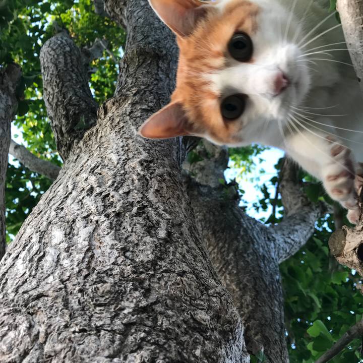 6525f660 23f8 4074 8d32 84996b9e9876 1528104715691