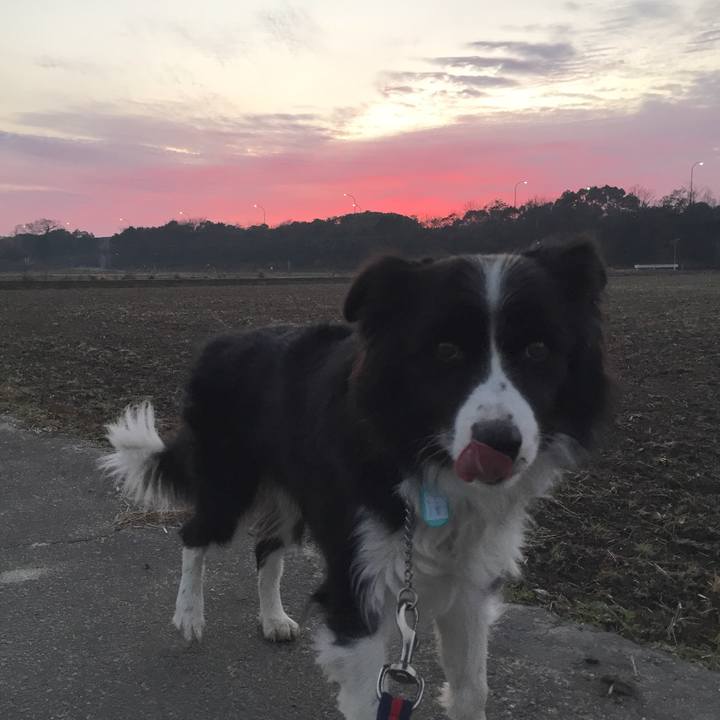 65265013 7827 47b6 8339 939796743618 1577574359697