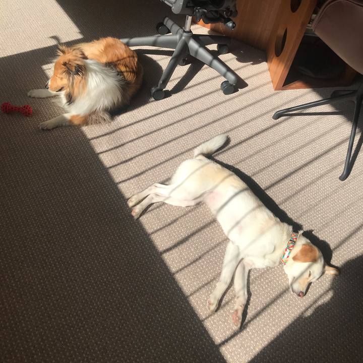 652674ae a790 40f1 86f6 bdf62465eea5 1614403669157