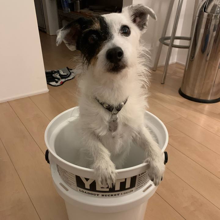 65267d20 3392 4f2e 9939 1ae9c4fb71b1 1718451517960