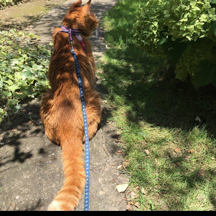 6526c68c 3795 494c 8863 da7102acc91c 1625221772308