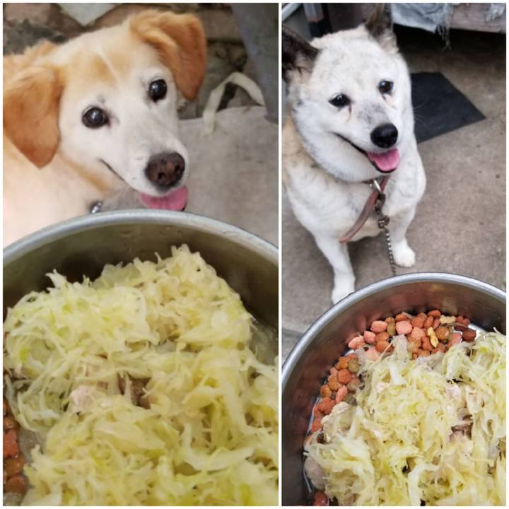 6526c6ea cd27 44ba 8cf7 20b1538e1ec6 1754366873178