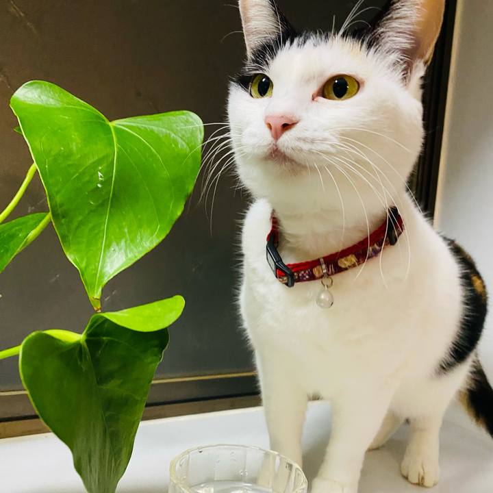 65270577 d437 4c03 8260 01f8bb5a98a7 1668852650184