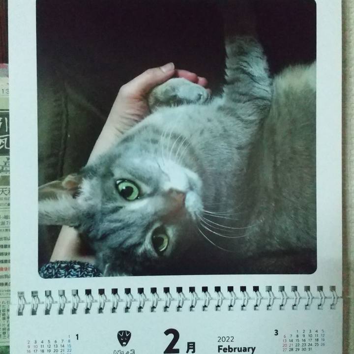 65270dac c856 49c3 8d6d 7a7de7a7bc9c 1643697790352