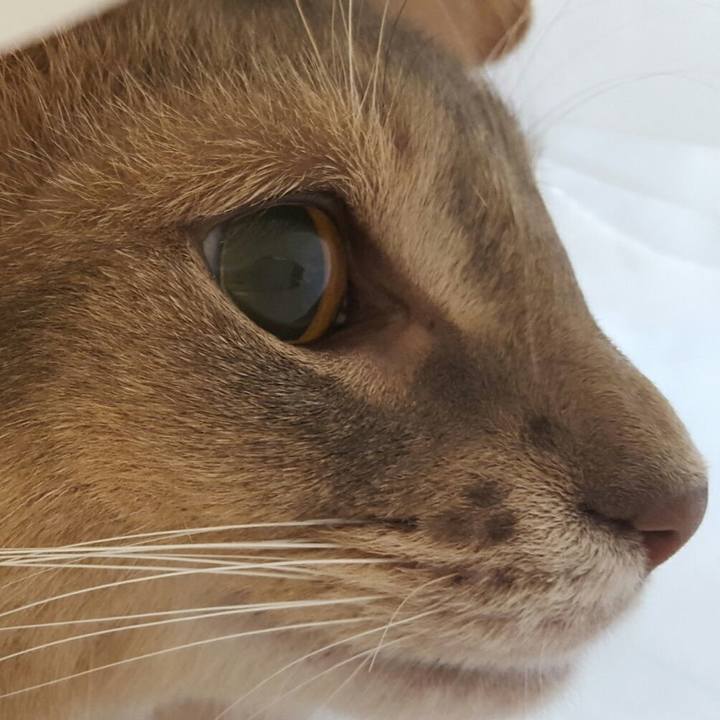 65276ad6 0d4d 446f 9ba9 14f4cadff756 1533116466414