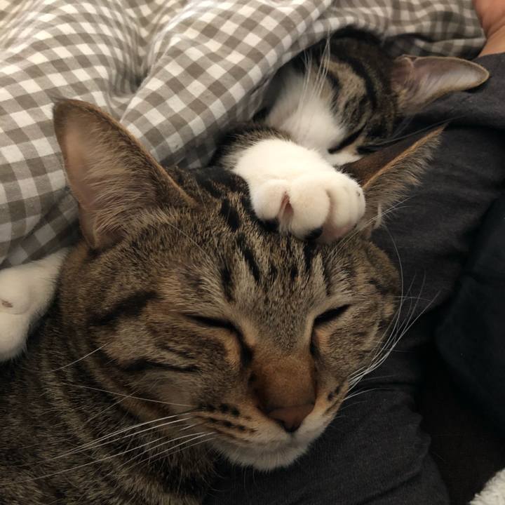 652789ad f700 4c67 a37b 27f2353003f0 1519350700282