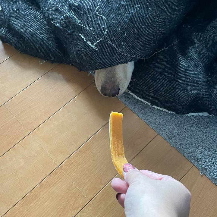 6527c01f d30f 43cf bdde 8dc9d286cfa3 1645492095692