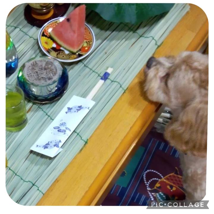 65281090 73e5 4b4a 9bcb 636e8ca87f6b 1657829208425