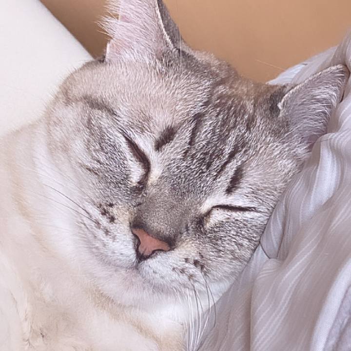 65283d7c 7d03 4210 ba8b 9e62d92c2400 1661220786708