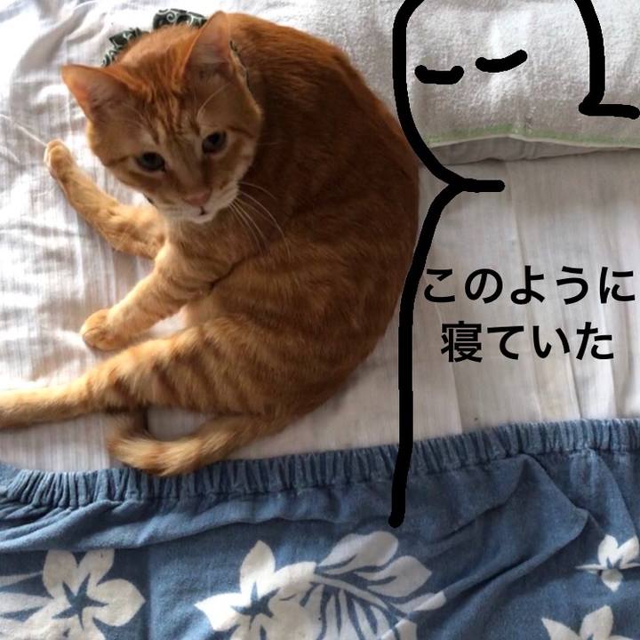 652844bd 9469 43ad 89e8 48ec3c2f0688 1581717352356