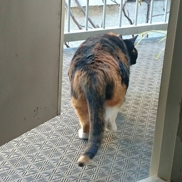 6528467f aeaa 4c48 916b 881408688080 1515053876833