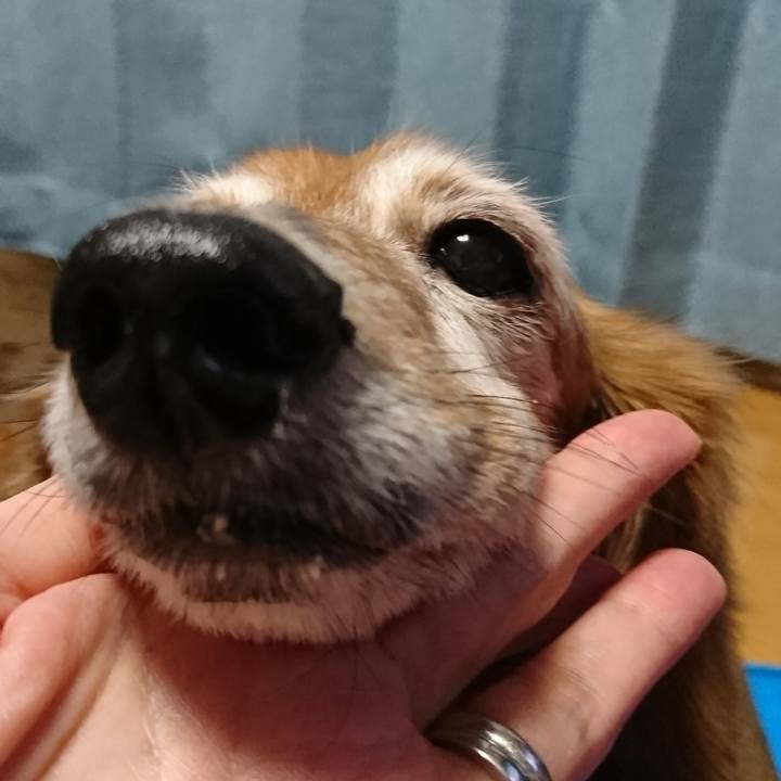 65284ac8 c6c0 4c54 ba29 c3d7c1c33cbd 1510285443065