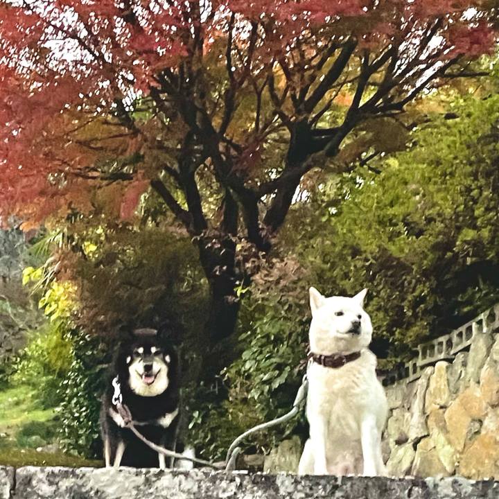 652873ac 3f56 47a3 8ae6 a31c0d7cf217 1700746098440