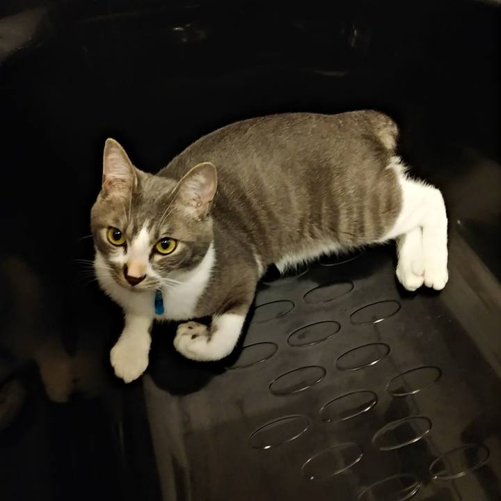 6528b2f7 c443 4099 ad37 6be0d2aca929 1593779408141