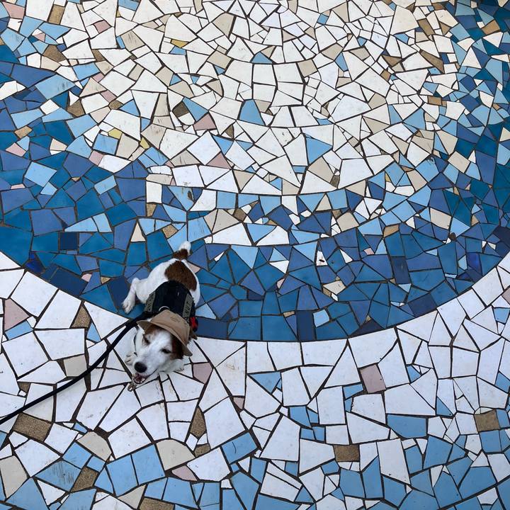 6528b51d eb8a 4a8d a63e 7cd07d14813a 1758610454261