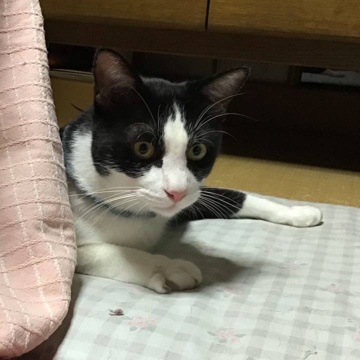 6528ce90 7b8b 4cef b3cb 3df1a956b9c6 1663848134792